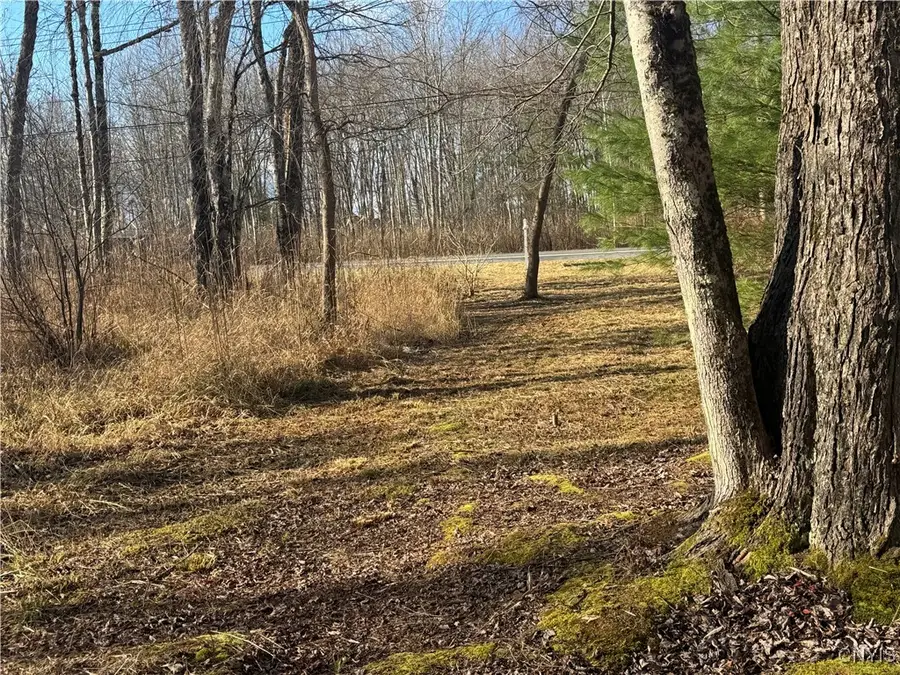 Rt-13 N, Blossvale, NY 13308 - Image #3