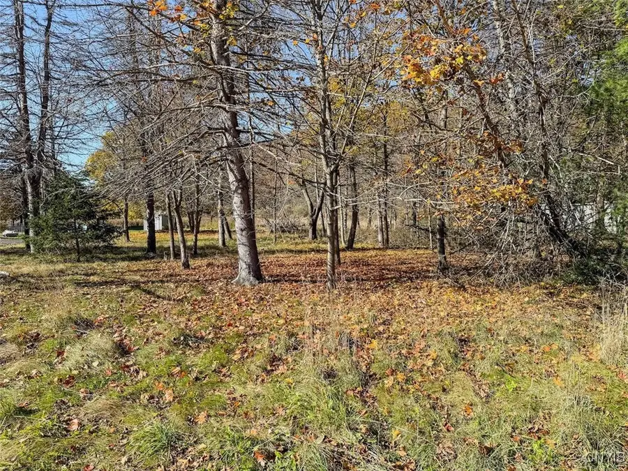 Olcott Road N, Big Flats, NY 14814 - Image #3