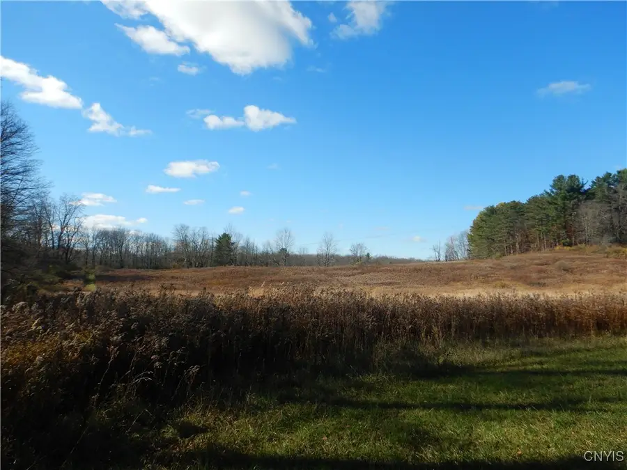 Route 220, McDonough, NY 13830 - Image #3