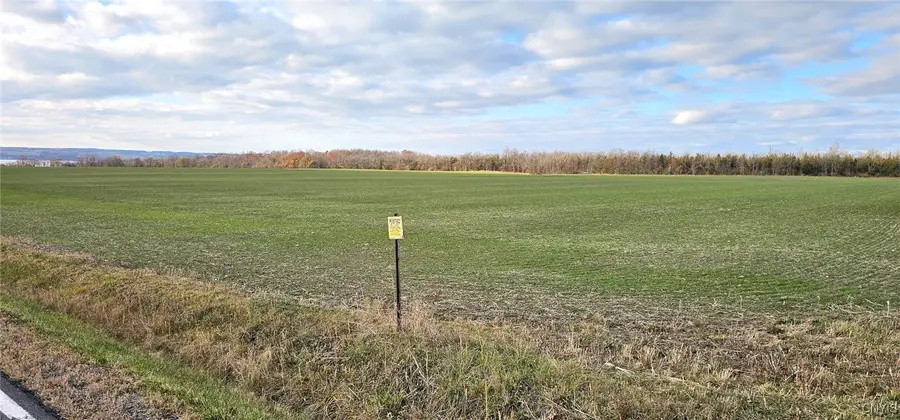 Kennedy Road, Ovid, NY 14521 - Image #3