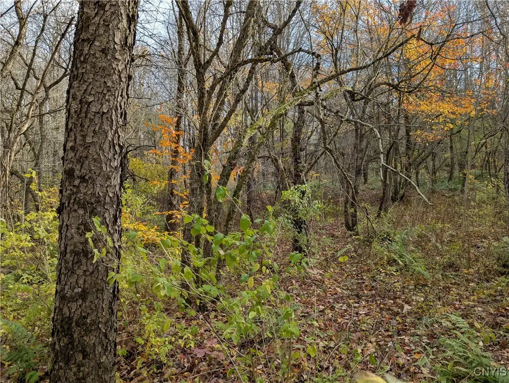 Ryan Road, Williamstown, NY 13493 - Image #1