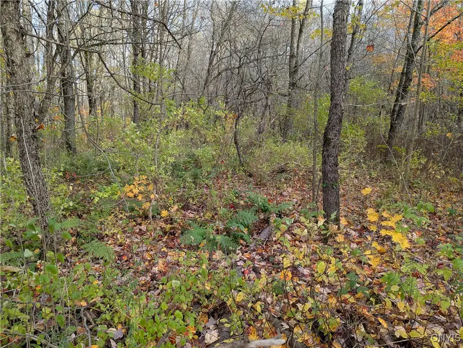 Ryan Road, Williamstown, NY 13493 - Image #2