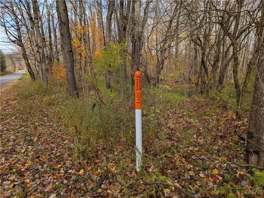 Ryan Road, Williamstown, NY 13493 - Image #3