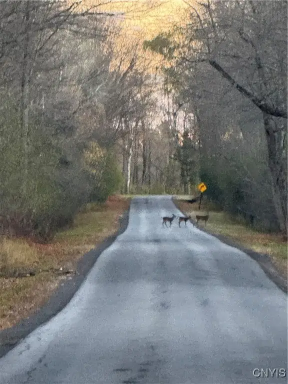 0 County Route 38, Norfolk, NY 13667