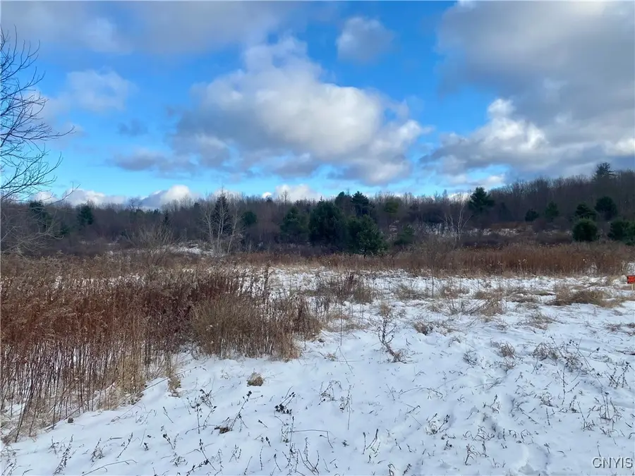 County Route 4, Fulton, NY 13069 - Image #3