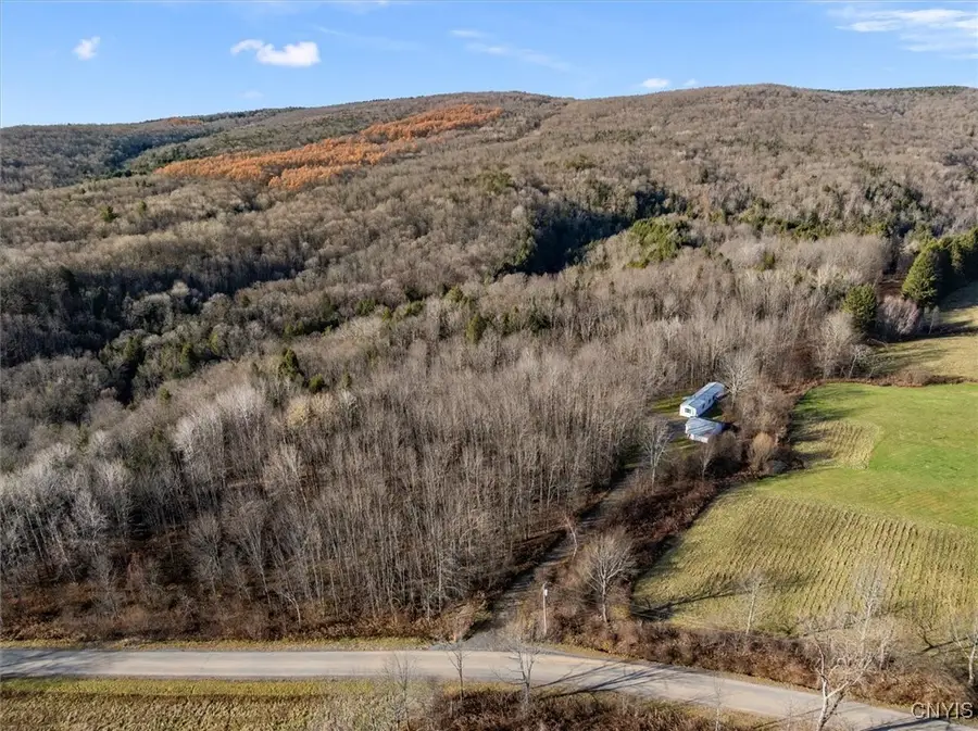 9036 Dole Road, Remsen, NY 13438 - Image #3
