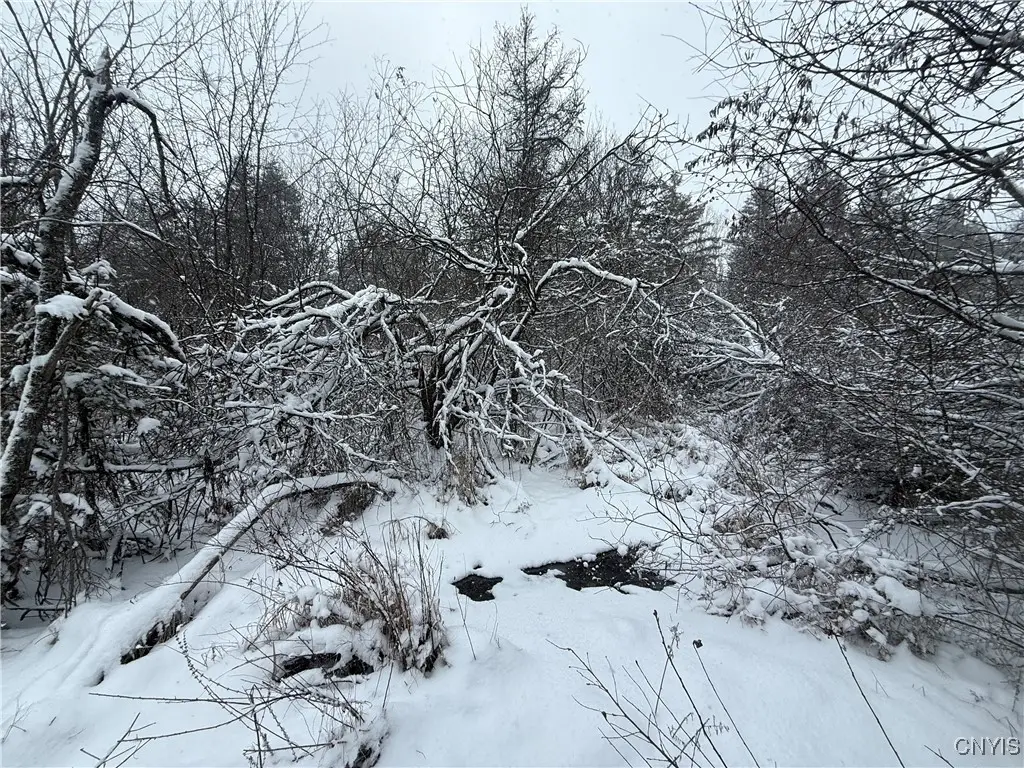 Eddy Road, Theresa, NY 13691 - Image #1