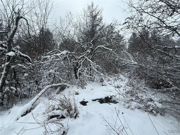 Eddy Road, Theresa, NY 13691