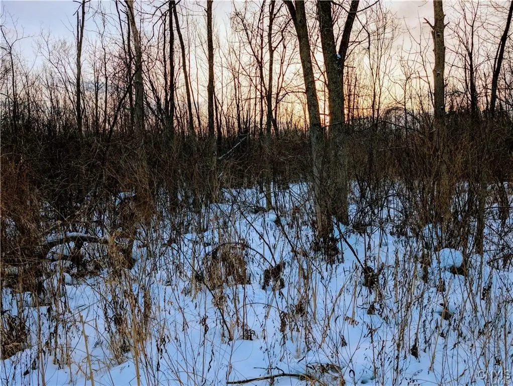 Manlius Road N, Kirkville, NY 13082 - Image #1