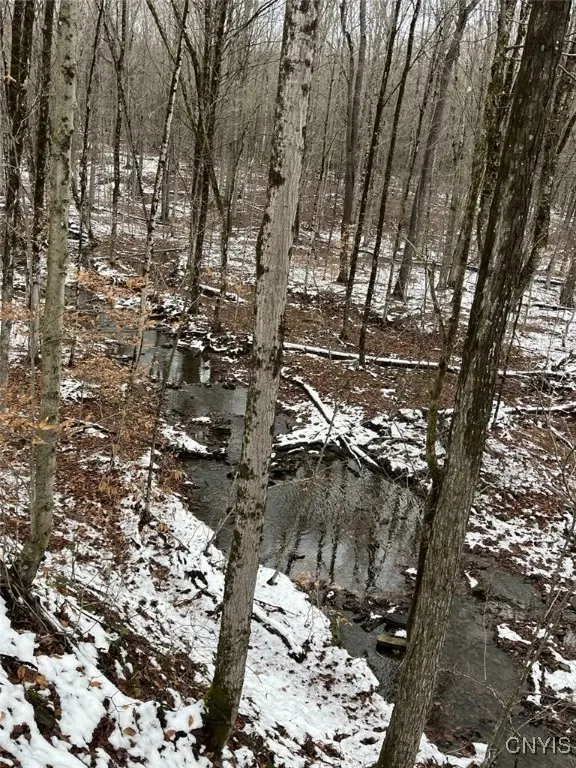 Jersey Hill Road, Canaseraga, NY 14822 - Image #1