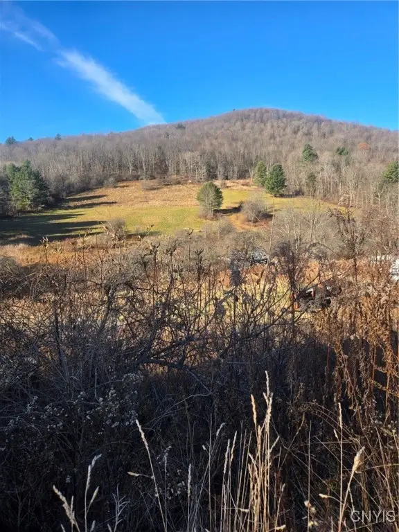 1569 County Road 5, Genesee, NY 14754 - Image #2