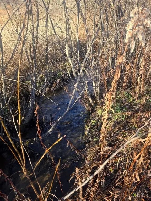 1569 County Road 5, Genesee, NY 14754 - Image #3