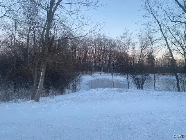 0000 Peck Rd Road, Deansboro, NY 13328 - Image #2