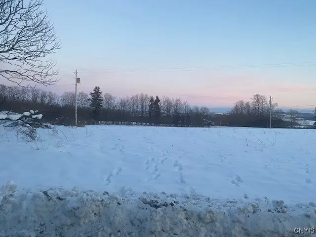 0000 Peck Rd Road, Deansboro, NY 13328 - Image #3