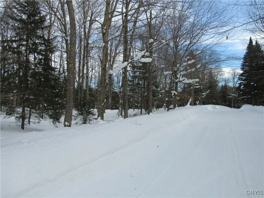 Tamarack Drive, Old Forge, NY 13420 - Image #1