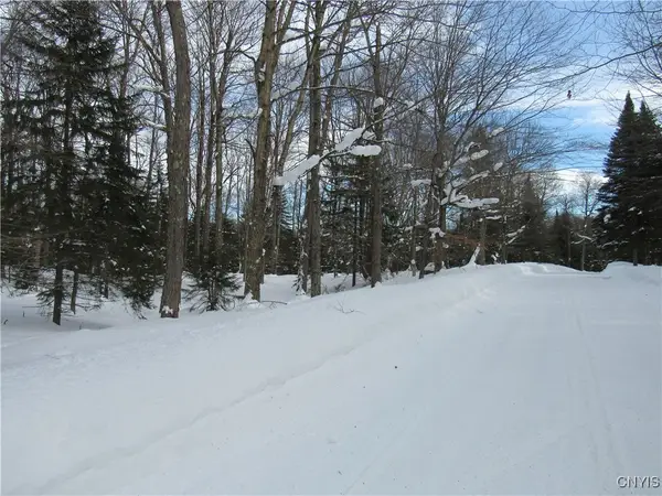 Tamarack Drive, Old Forge, NY 13420