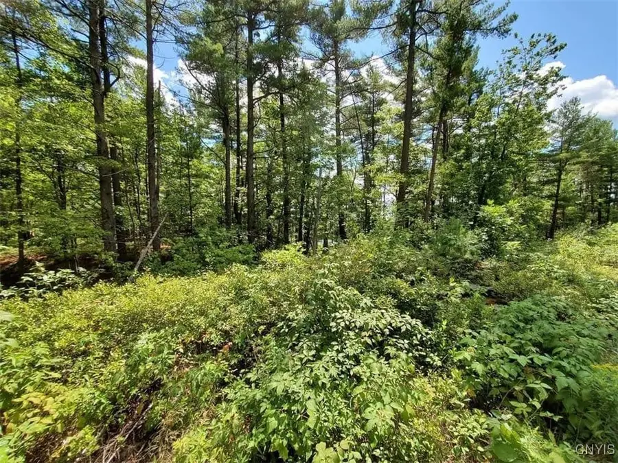 Lot F Beachfront Lane Drive N, Theresa, NY 13691 - Image #3