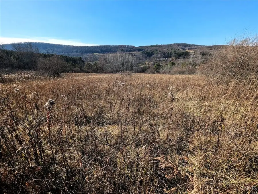 Two Rod Road, Urbana, NY 14810 - Image #3