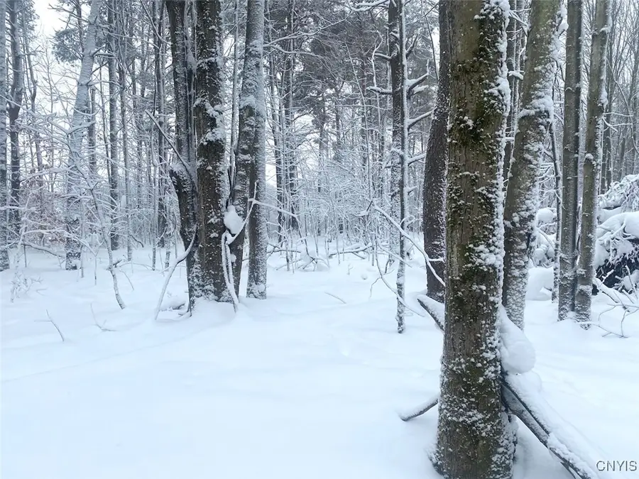 E Hill Road, Friendship, NY 14739 - Image #2