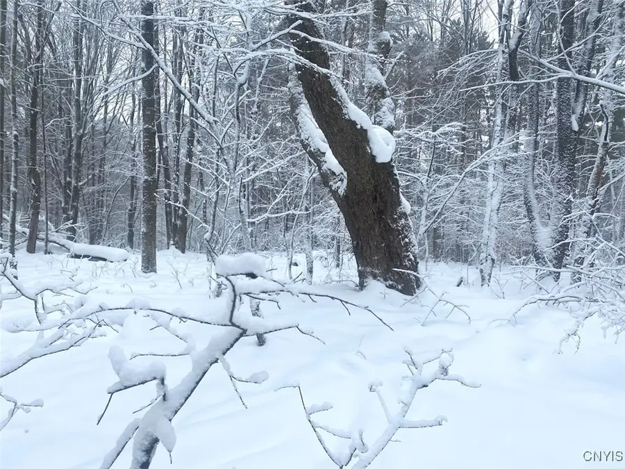 E Hill Road, Friendship, NY 14739 - Image #3