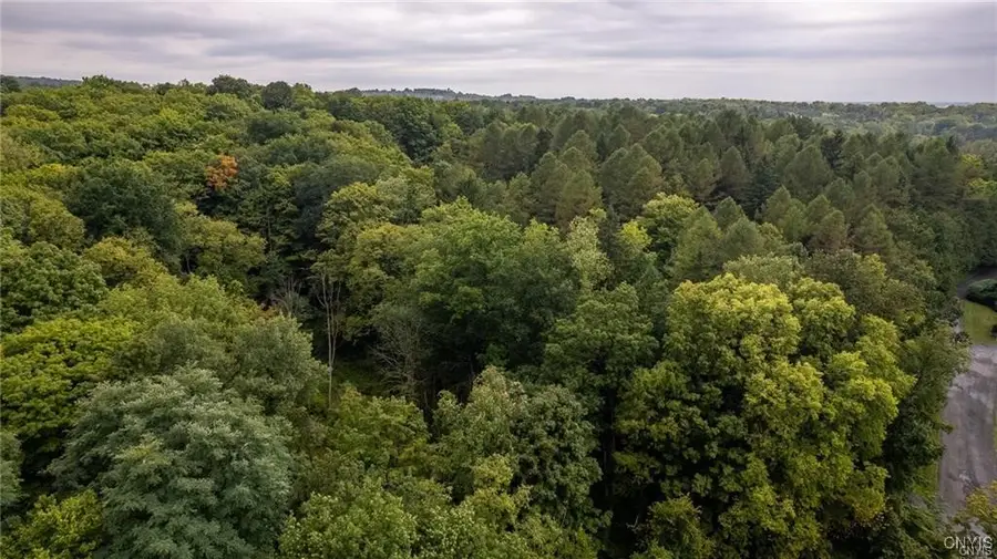 0 Apple Tree Ridge, Manlius, NY 13104 - Image #2