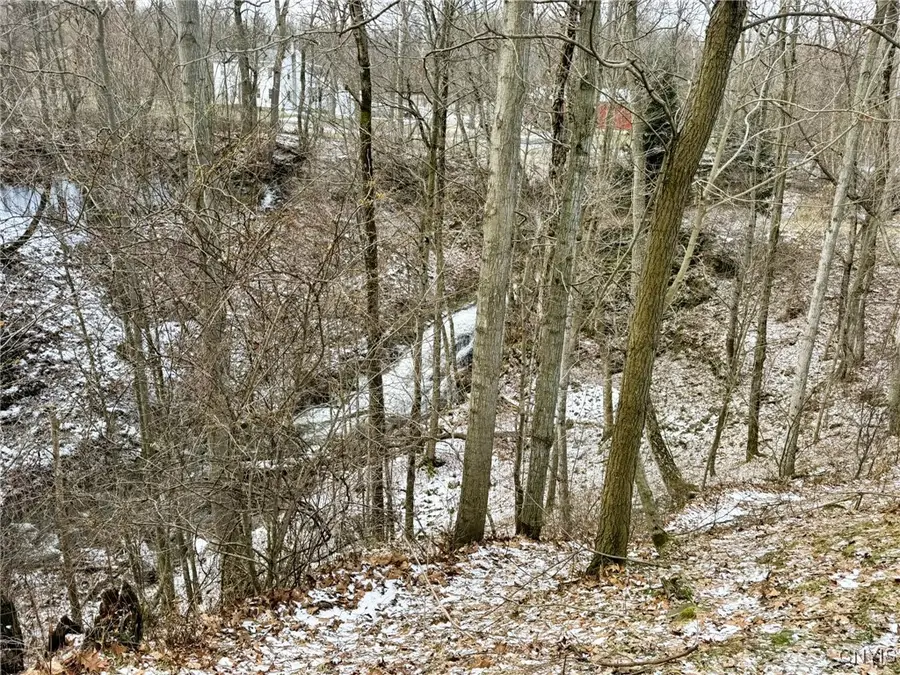 4256 Twelve Corners Road, Moravia, NY 13118 - Image #3