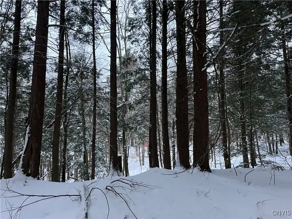 Center Street, Constantia, NY 13042