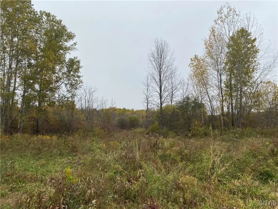 0 Caughdenoy Road, Clay, NY 13041 - #2