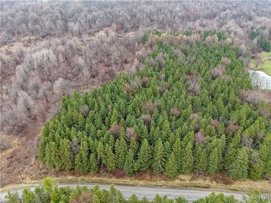 Cogar Drive, Schuyler, NY 13340 - Image #3