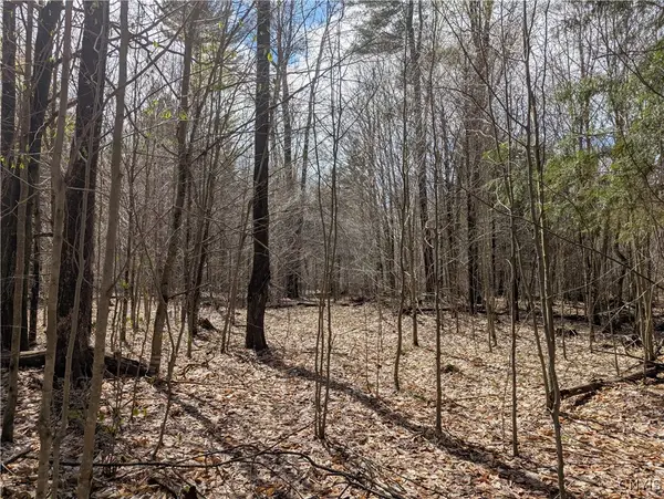 7418 Pennysettlement Road, Port Leyden, NY 13433