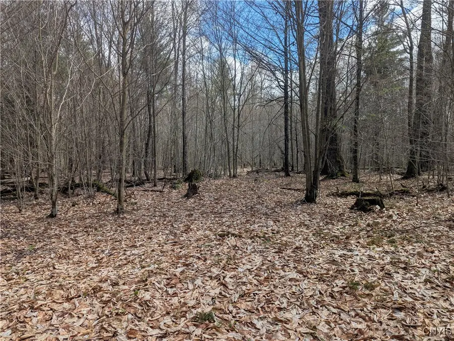 7418 Pennysettlement Road, Port Leyden, NY 13433 - Image #2