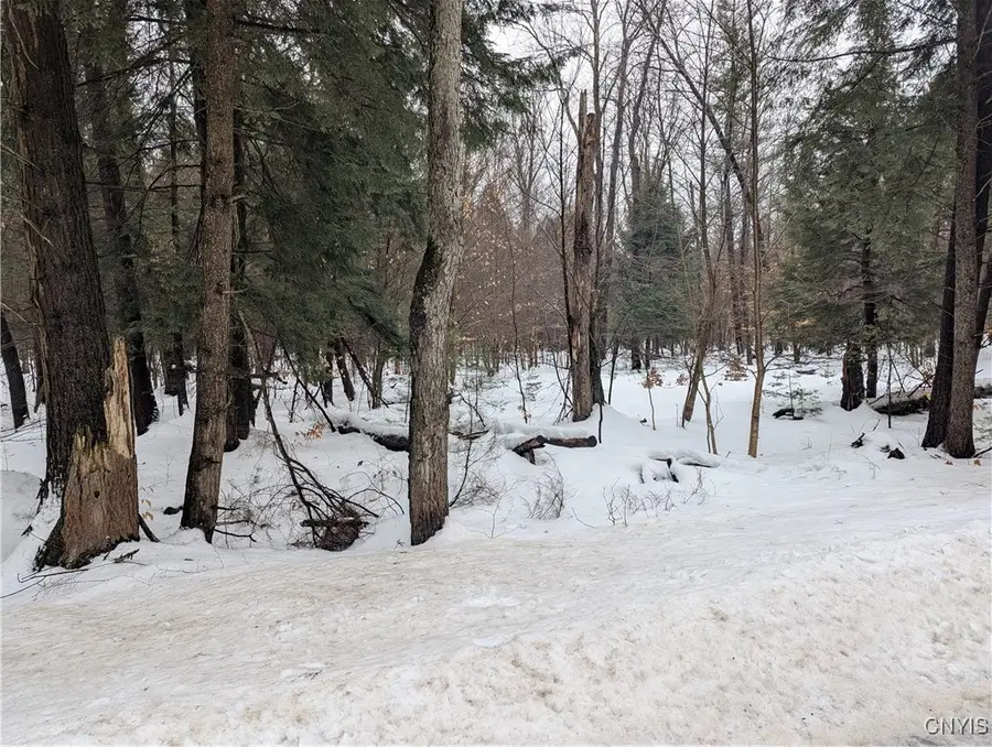 7418 Pennysettlement Road, Port Leyden, NY 13433 - #3