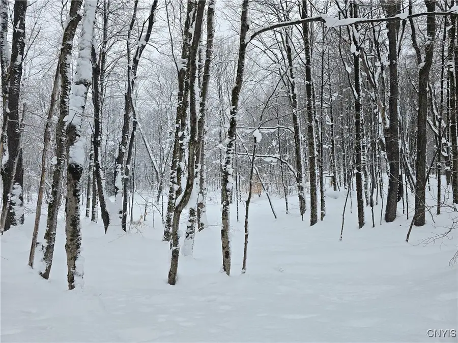 Swancott Mills Road, Taberg, NY 13471 - Image #2