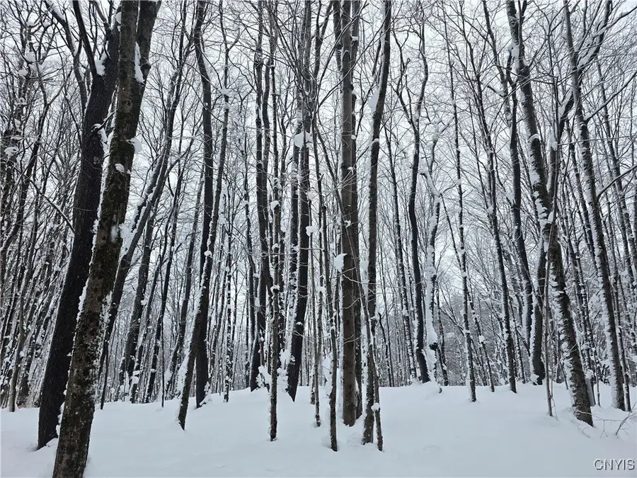 Swancott Mills Road, Taberg, NY 13471 - Image #3