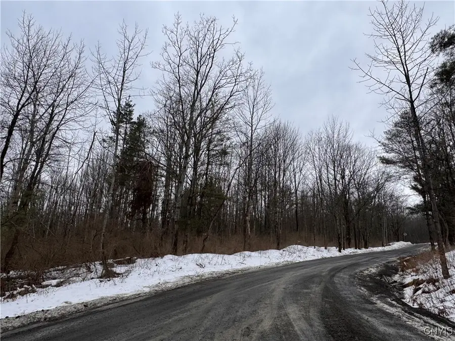 102 Beech Hill Road, Newfield, NY 14867 - #2