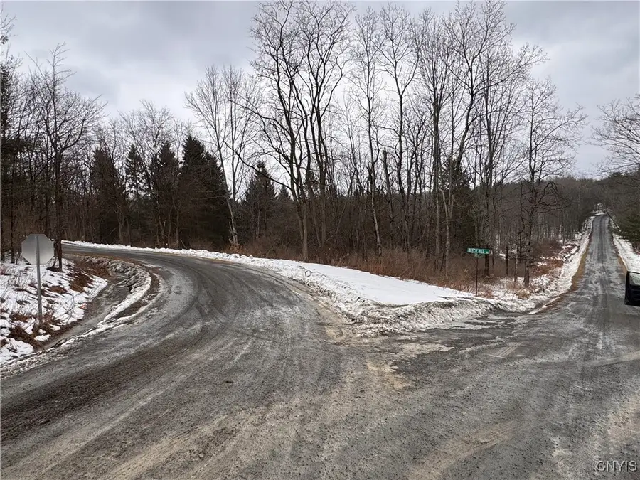 102 Beech Hill Road, Newfield, NY 14867 - #3