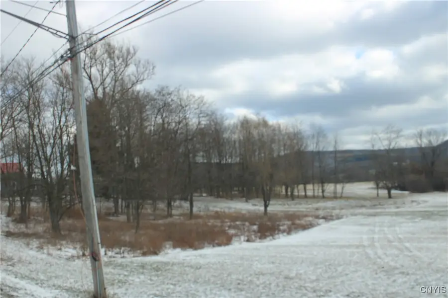 6554 State Route 80, Tully, NY 13159 - Image #3