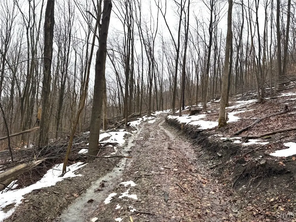 Route 16, Hinsdale, NY 14743 - Image #1