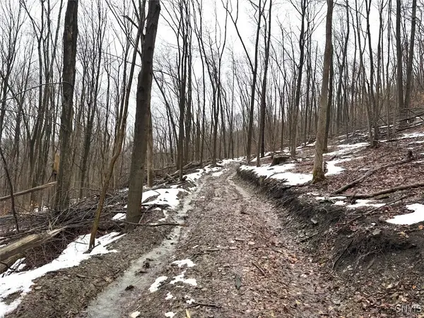 Route 16, Hinsdale, NY 14743