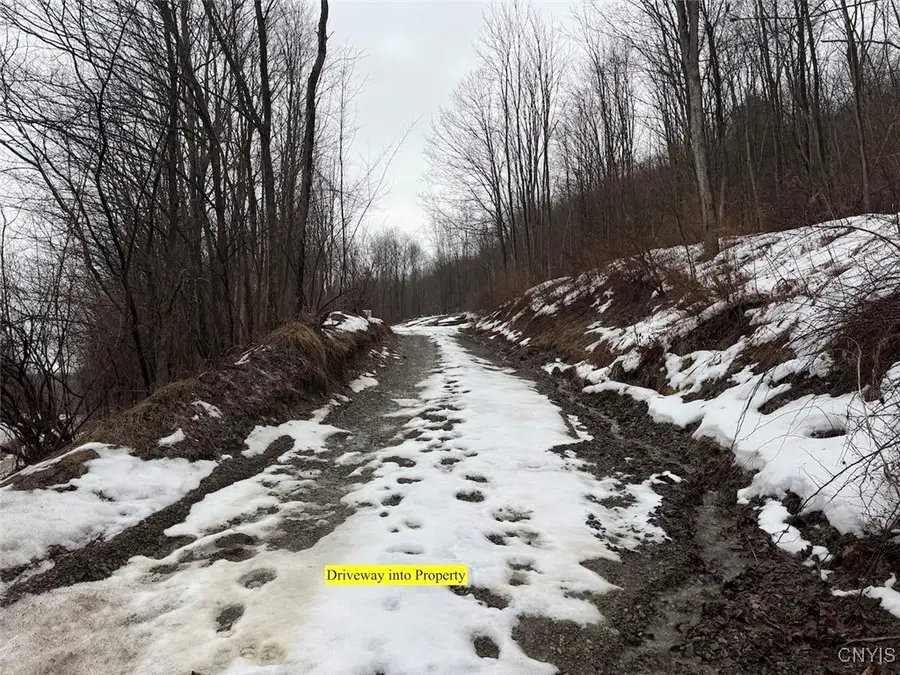 Route 16, Hinsdale, NY 14743 - Image #3