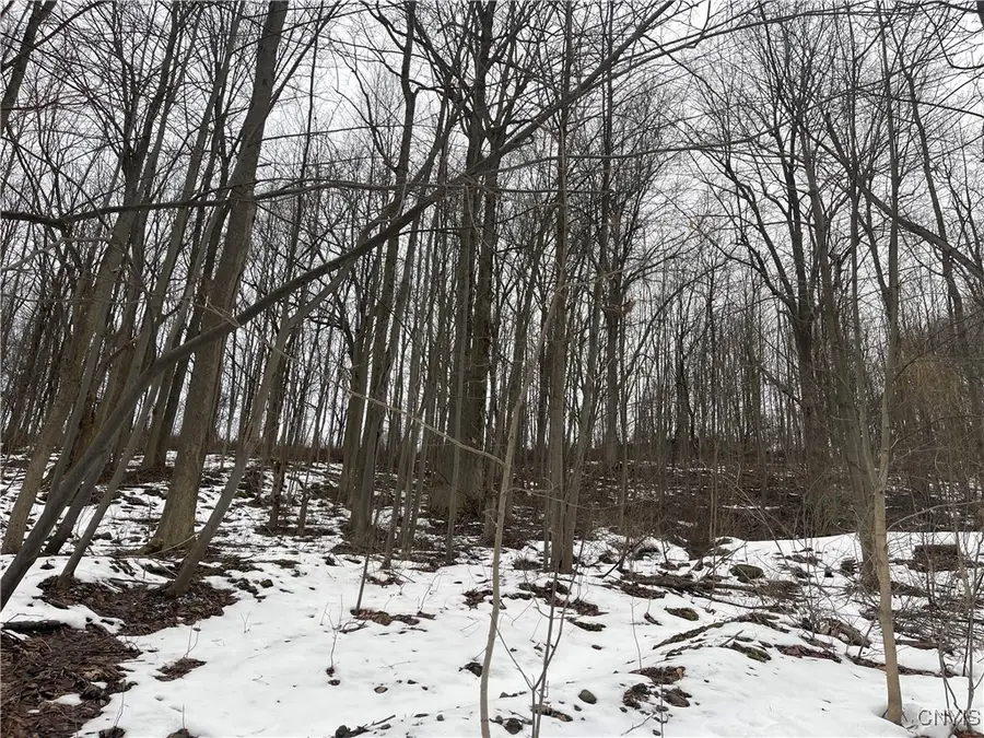 10673 State Route 34, Weedsport, NY 13166 - Image #3