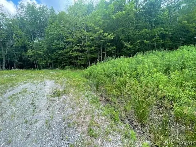 2220 Kypriotis Drive, Cortland, NY 13045 - #3