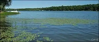 Off Duck Lake Rd, Red Creek, NY 13143