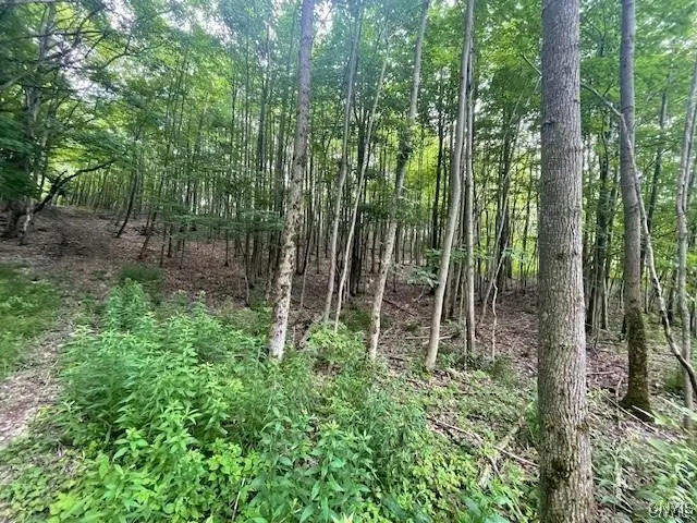 2009 Thermopylae Drive, Cortland, NY 13045 - Image #2