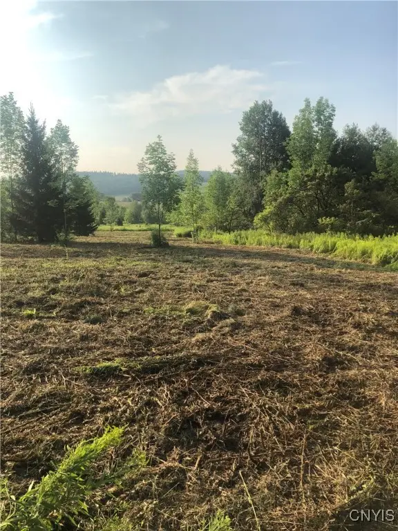 Midlum Road, Truxton, NY 13158 - #1