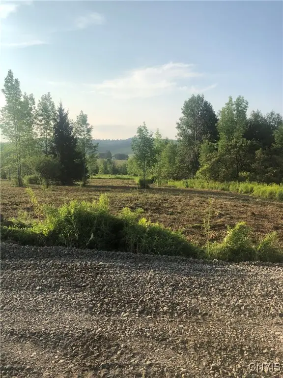 Midlum Road, Truxton, NY 13158 - #2