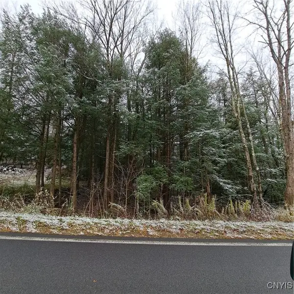 0 County Route 17a, Williamstown, NY 13493