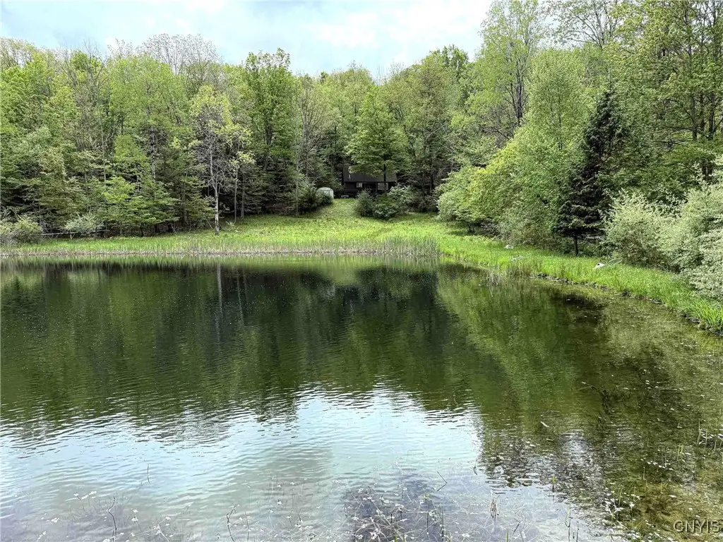 3304 Co Rd 22, Cameron, NY 14820 - #1