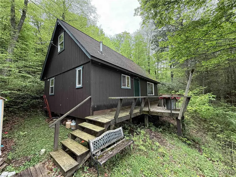 3304 Co Rd 22, Cameron, NY 14820 - #2