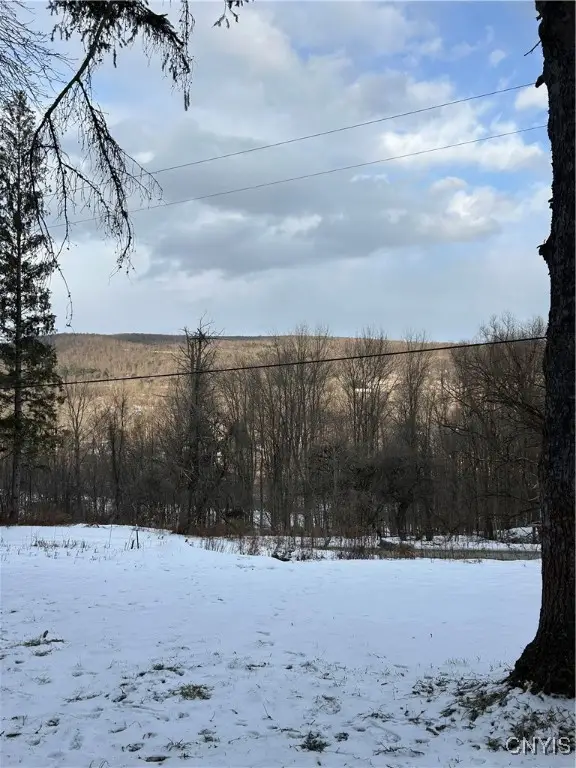 3023 W River Road, Cortland, NY 13045